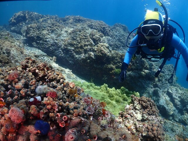 ダイブショップサンライズ　唐津