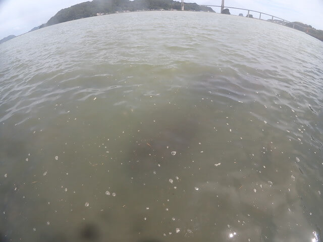 ダイブショップサンライズ　呼子