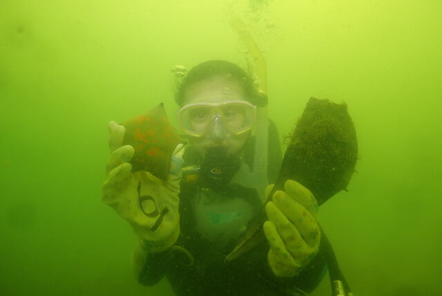 ダイブショップサンライズ　オープンウォーター講習