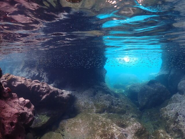 ダイブショップサンライズ　馬渡島