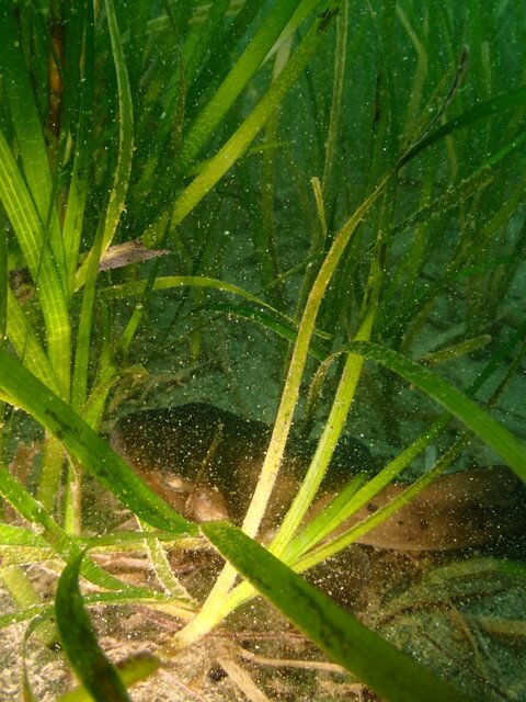 ダイブショップサンライズ　唐津