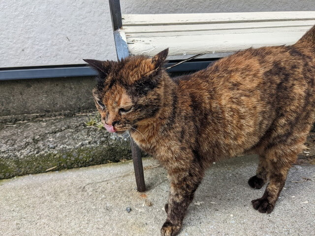 ダイブショップサンライズ　辰ノ口