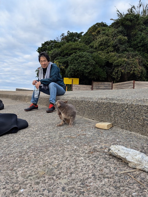 見守る猫