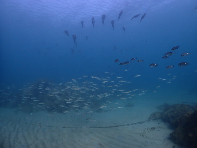 サンライズ　唐津