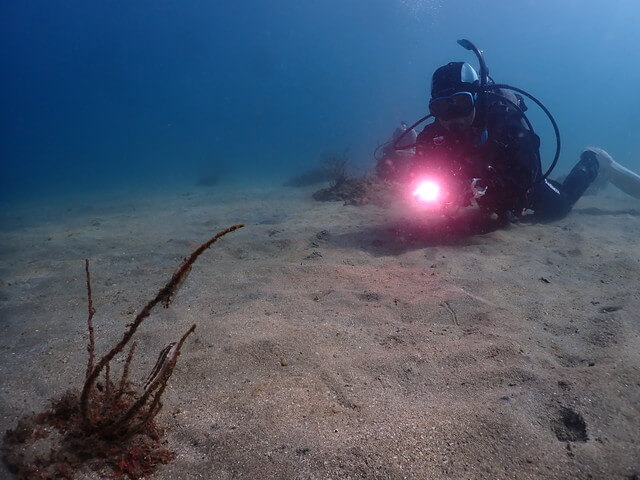 サンライズ　唐津