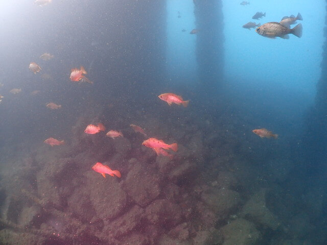 サンライズ　唐津