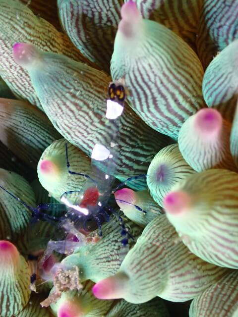 サンライズ　唐津