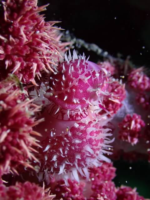 サンライズ　唐津