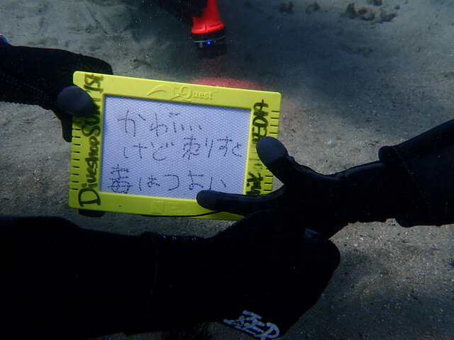 サンライズ　唐津