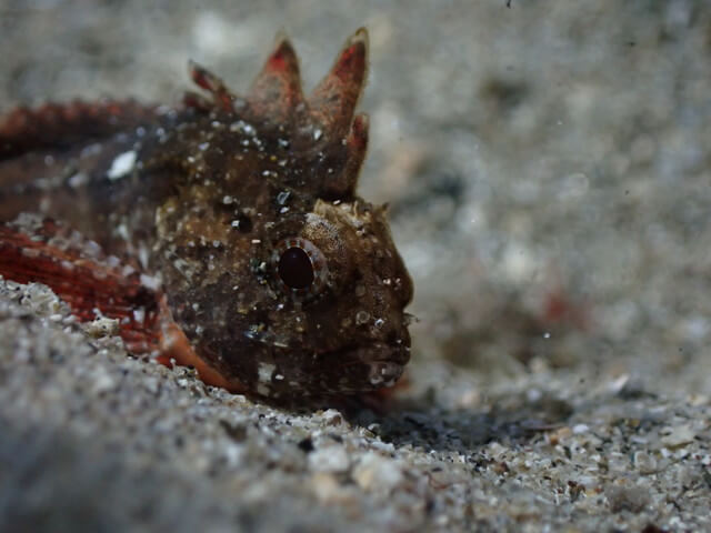 サンライズ　唐津