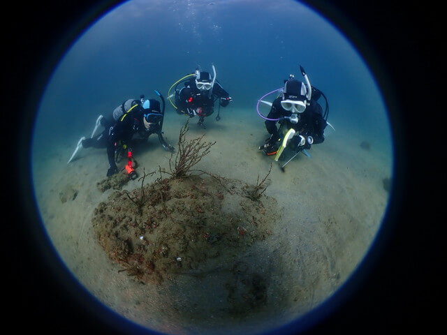 サンライズ　唐津