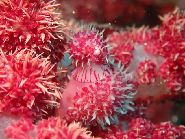 サンライズ　唐津