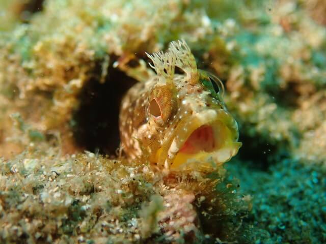 サンライズ　唐津