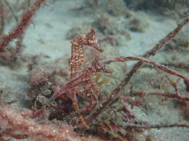 サンライズ　唐津