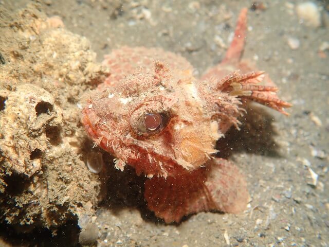 サンライズ　唐津