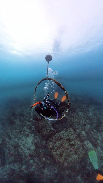 輪くぐりダイビング白瀬志賀島