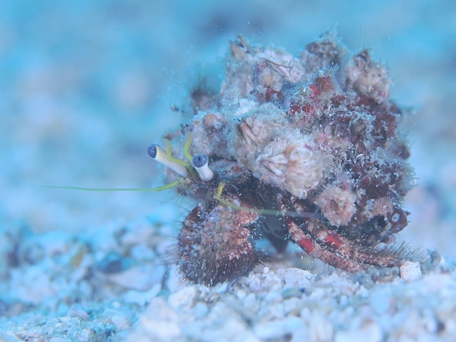 ダイブショップサンライズ