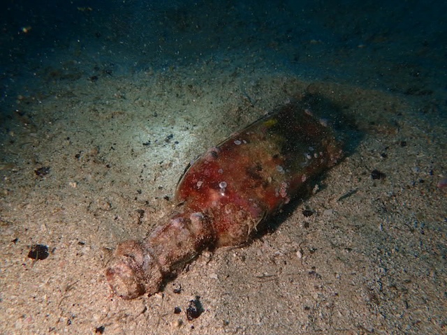 ダイブショップサンライズ