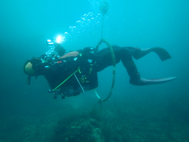 志賀島ダイバー