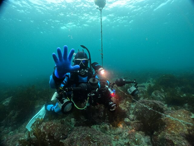 サンライズ　白瀬