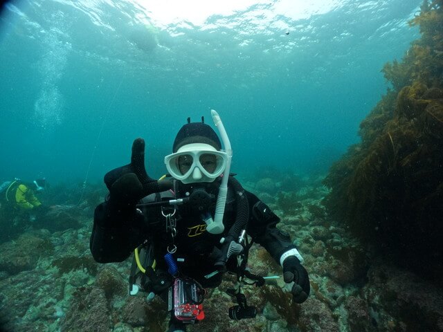 サンライズ　白瀬