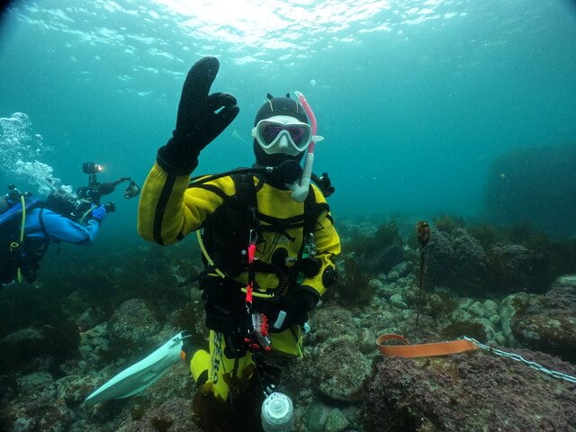 サンライズ　白瀬