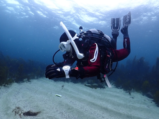 ドライスーツ講習