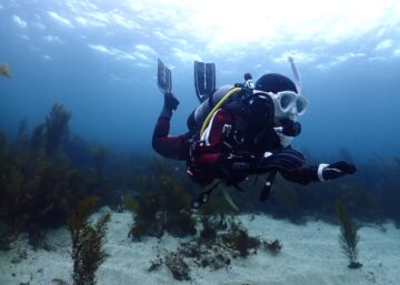 ドライスーツ志賀島白瀬