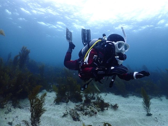 ドライスーツ志賀島白瀬