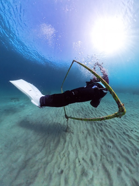 PADIアドバンス講習PPBSP