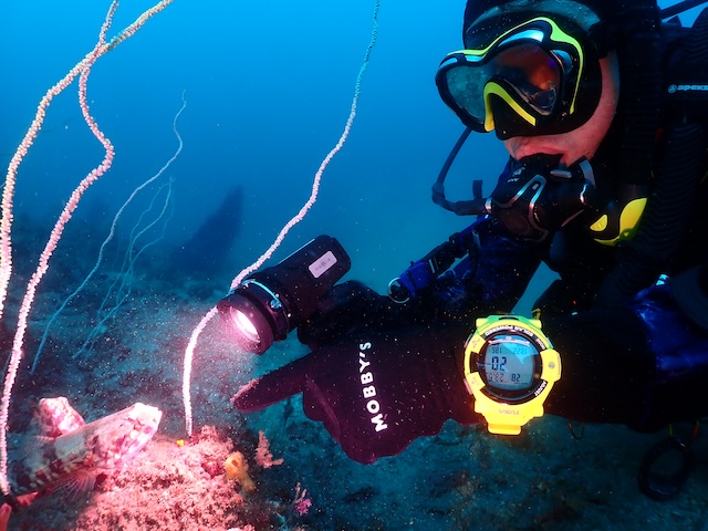 PADIナチュラリストダイバー