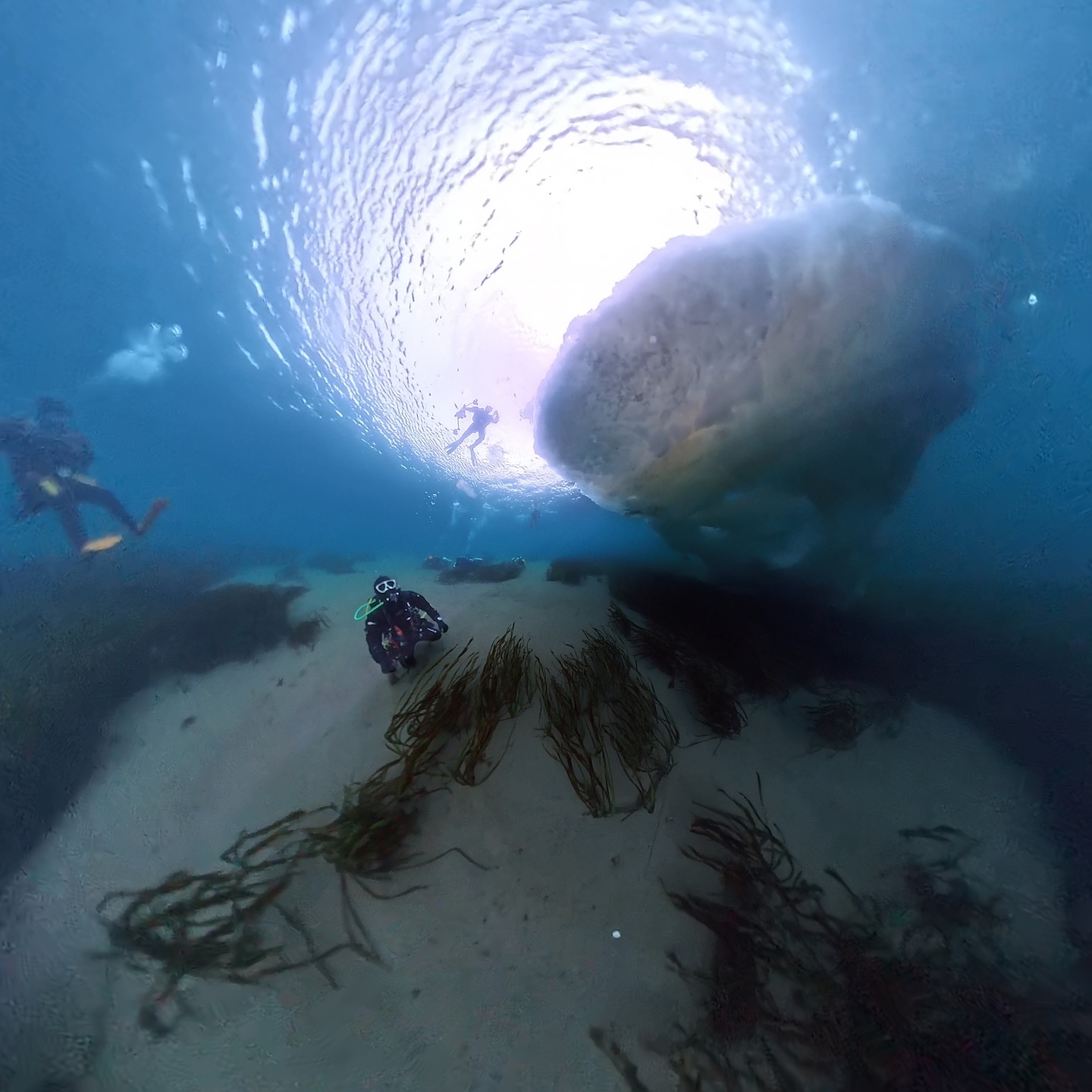 ファンダイブ 使用中