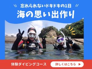 福岡体験ダイビング