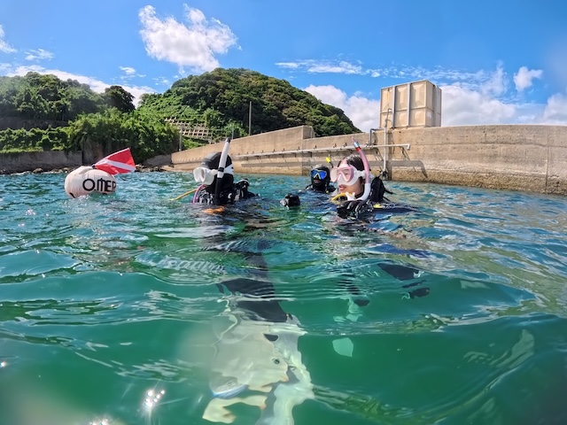 佐賀唐津湊浜ダイビングエントリー