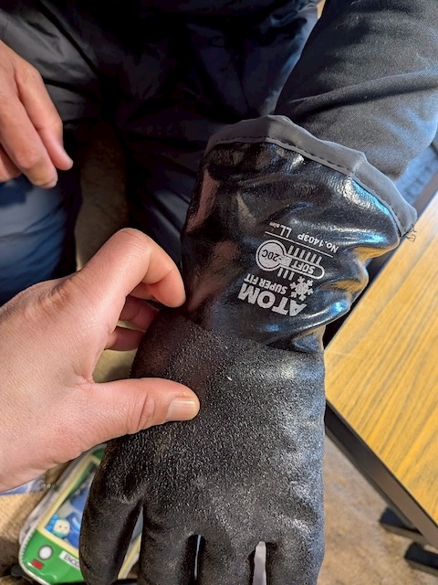 アンタレス用グローブ