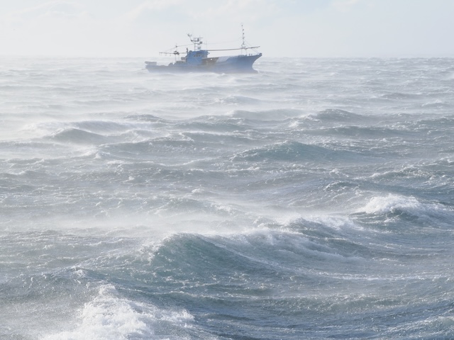 羅臼観光船大荒れ