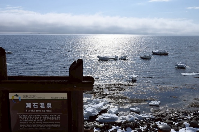 羅臼瀬石温泉ダイビング