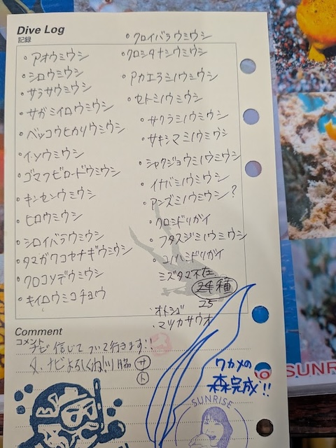 玄界灘春のウミウシ