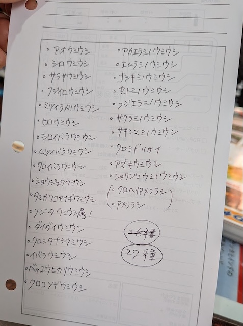 ウミウシログブック3月