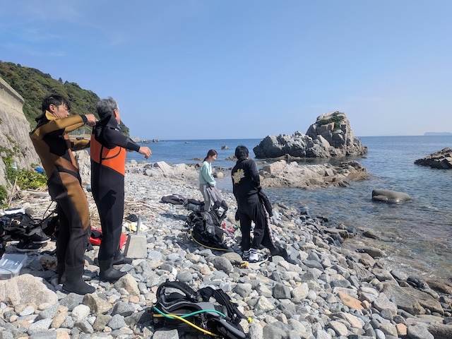 志賀島白瀬ダイビング