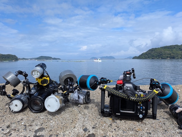唐津　ダイビング　カメラ一眼
