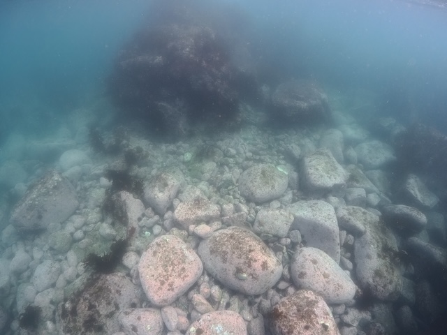 志賀島　赤瀬　ダイビング