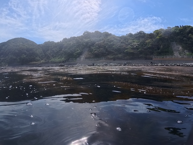 赤瀬　ダイビング　志賀島