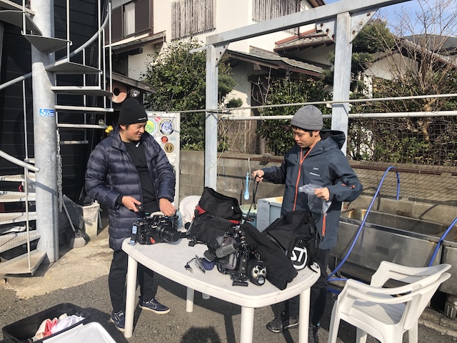 シャワーダイビング