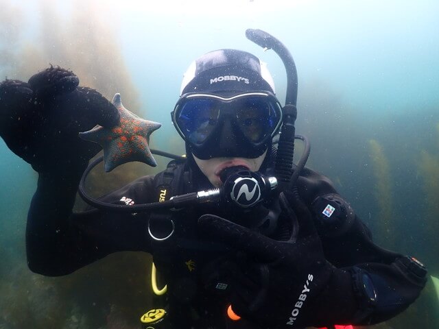 志賀島　ヒトデ