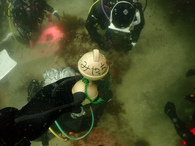 志賀島s水中ぶい