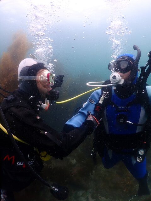 志賀島　オクトパス浮上