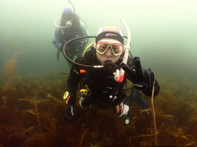 志賀島　リフレッシュダイブ