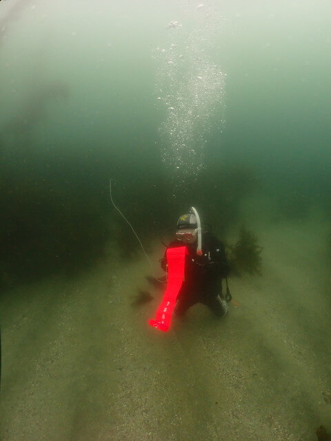 志賀島　シグナルフロート