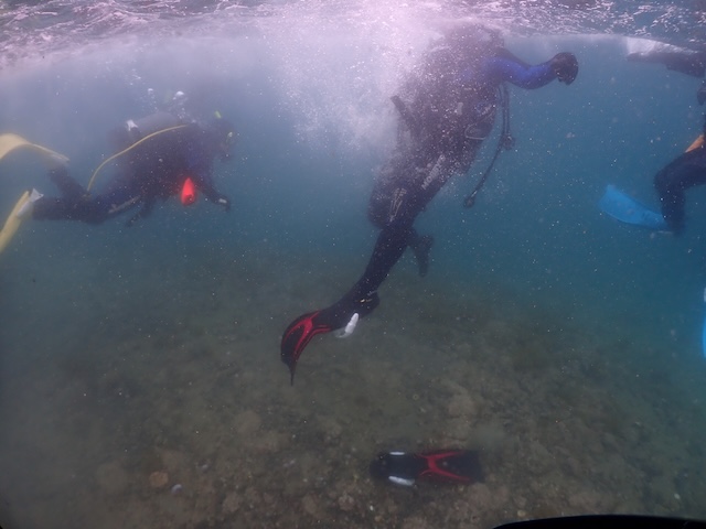 パニックダイバー